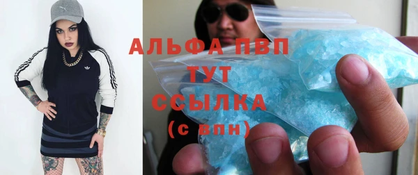 винт Алексин