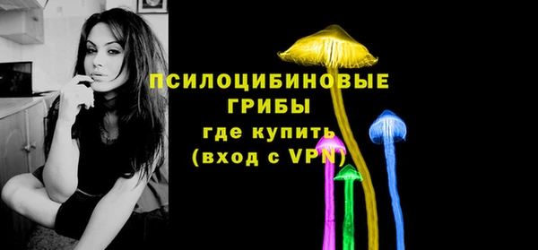 винт Алексин