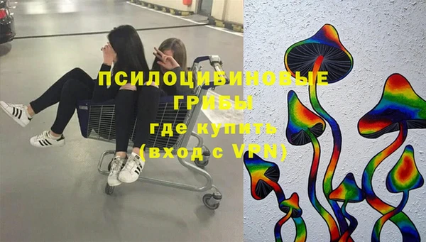apvp Алзамай