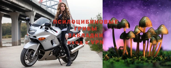 винт Алексин