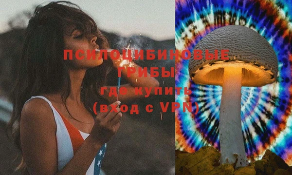 винт Алексин