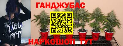 мефедрон мука Новозыбков