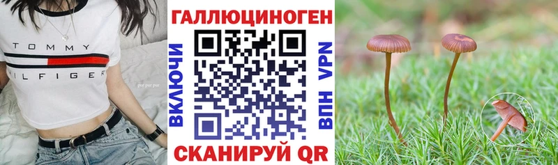 где найти наркотики  Ставрополь  мориарти клад  Псилоцибиновые грибы Magic Shrooms 