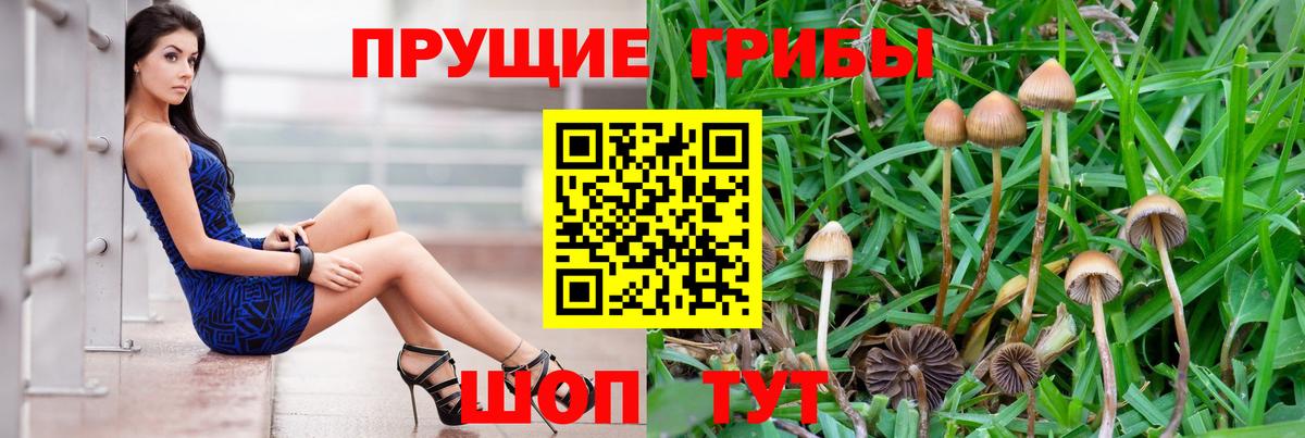 Галлюциногенные грибы мухоморы Ставрополь