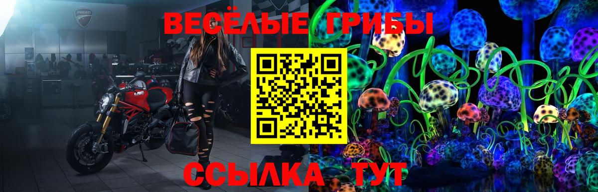 Ставрополь  Галлюциногенные грибы ЛСД  Псилоцибиновые грибы мухоморы  где купить наркоту  Вход с VPN 