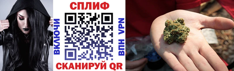 закладки  Ставрополь  дарк нет как зайти  Каннабис план 